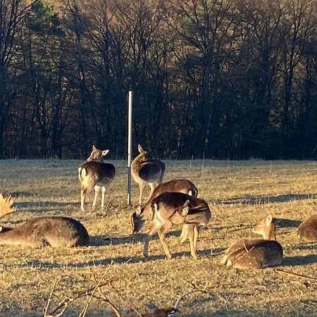 Paganetti's Tatil Evi Breitscheid (Rhineland-Palatinate)
